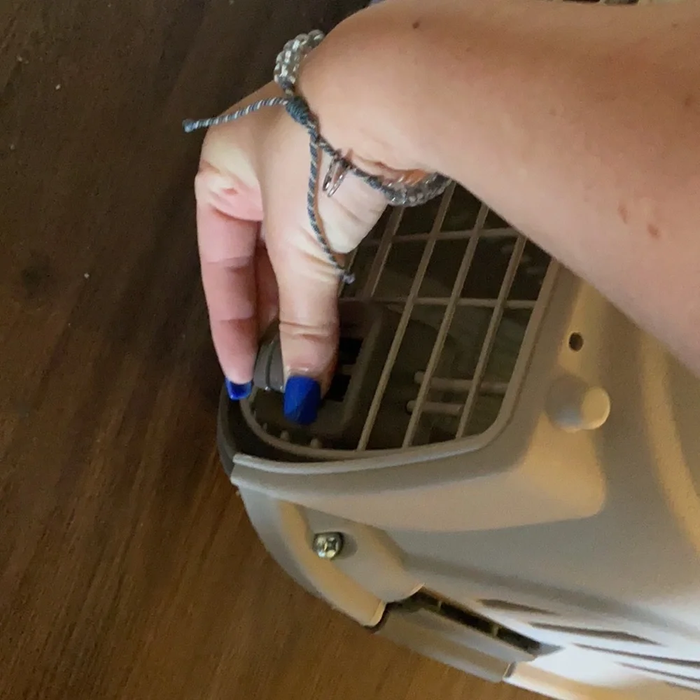 pet carrier